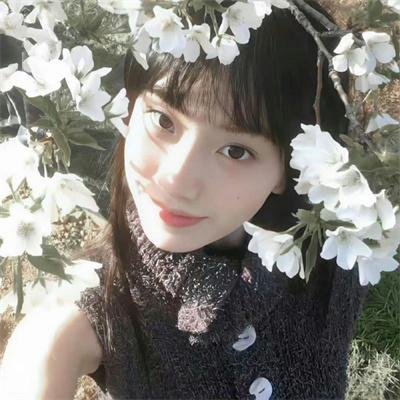 龙城谜案