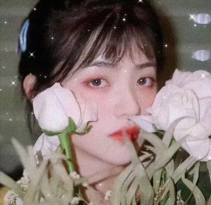 绝对忠诚